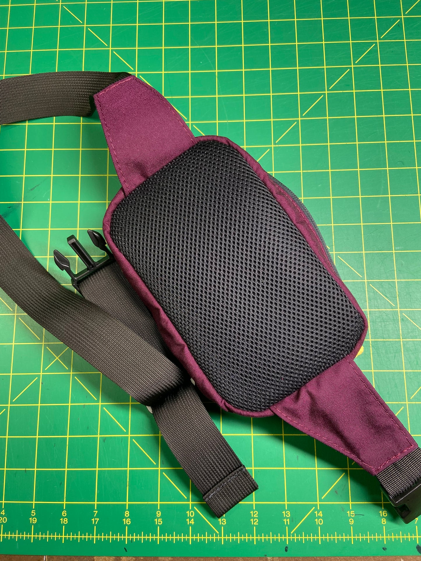 Collegiate Integra Waisty v3.2